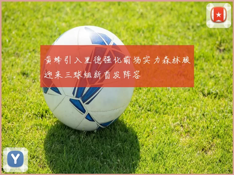 黄蜂引入里德强化前场实力森林狼迎来三球组新首发阵容