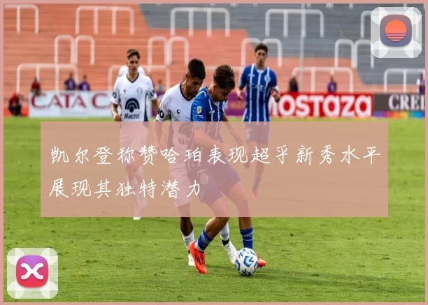 凯尔登称赞哈珀表现超乎新秀水平展现其独特潜力